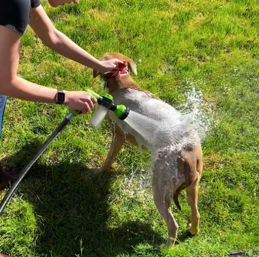 PetJet | Aplicador de banho para cães