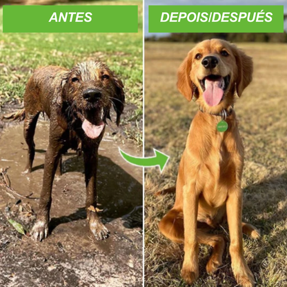 PetJet | Aplicador de banho para cães